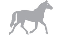 Sperm Quality Analyzer for Equines